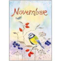 Postkarte - Monatskarte November Meise